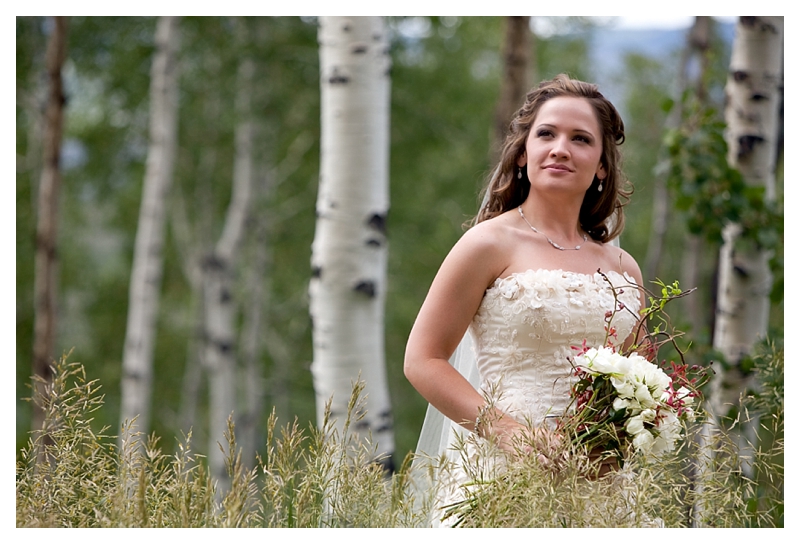 Lincoln Nebraska Wedding Cakes